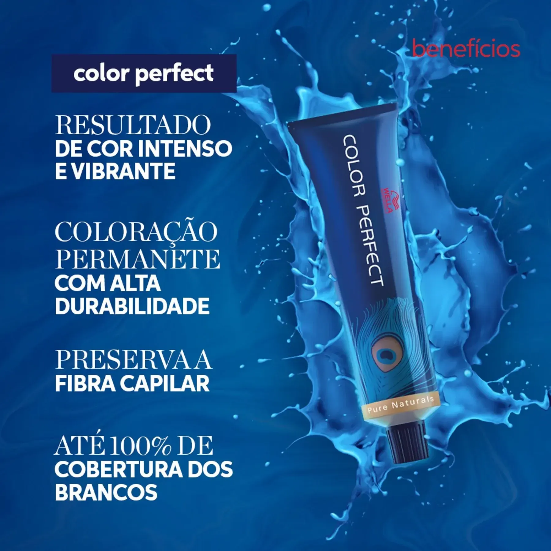 Design sem nome -1-